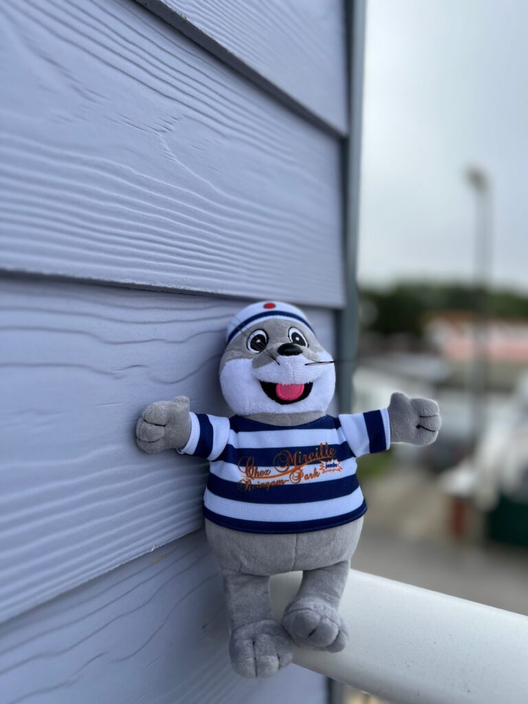 La peluche de You qui pose chez Mireille à Berck